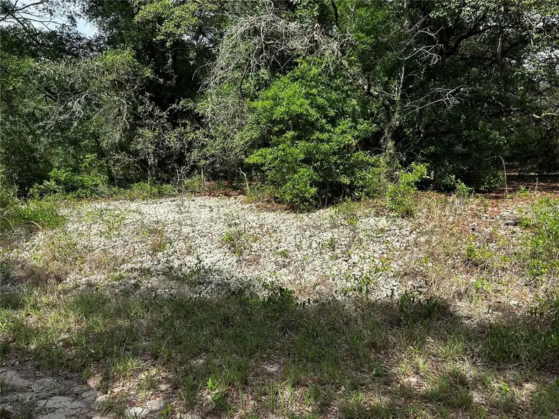 Tbd Uplands Ave, FL
