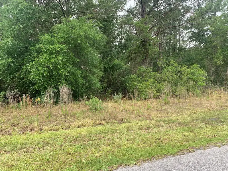 525 Live Oak Loop, FL