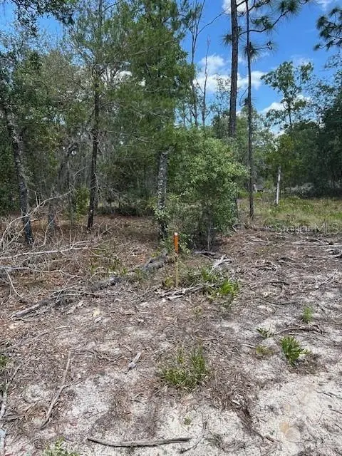 Tbd Sw 57th Ave #48 & 49, FL
