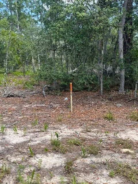 Tbd Sw 57th Ave #48 & 49, FL