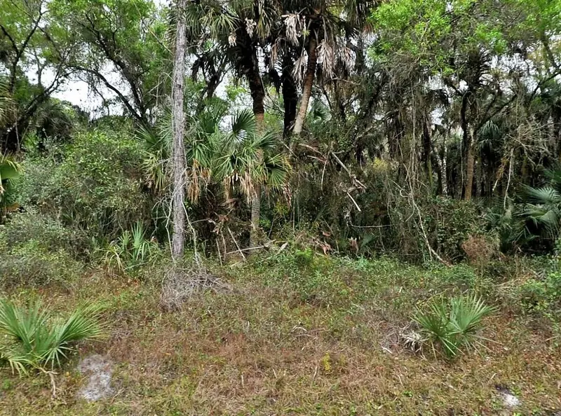 Hurdle Rd., FL