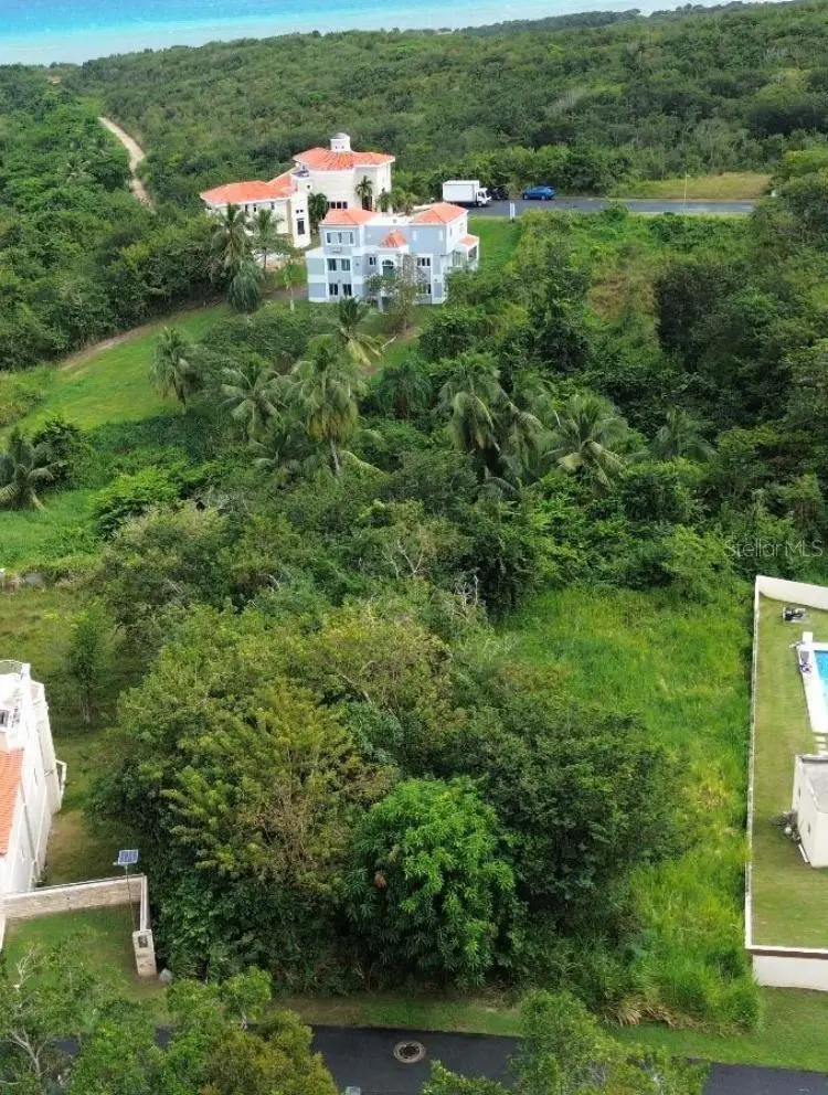 39 Cocoloba #39, PR