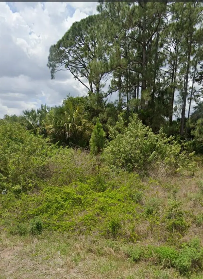 809 Gerald Ave, FL