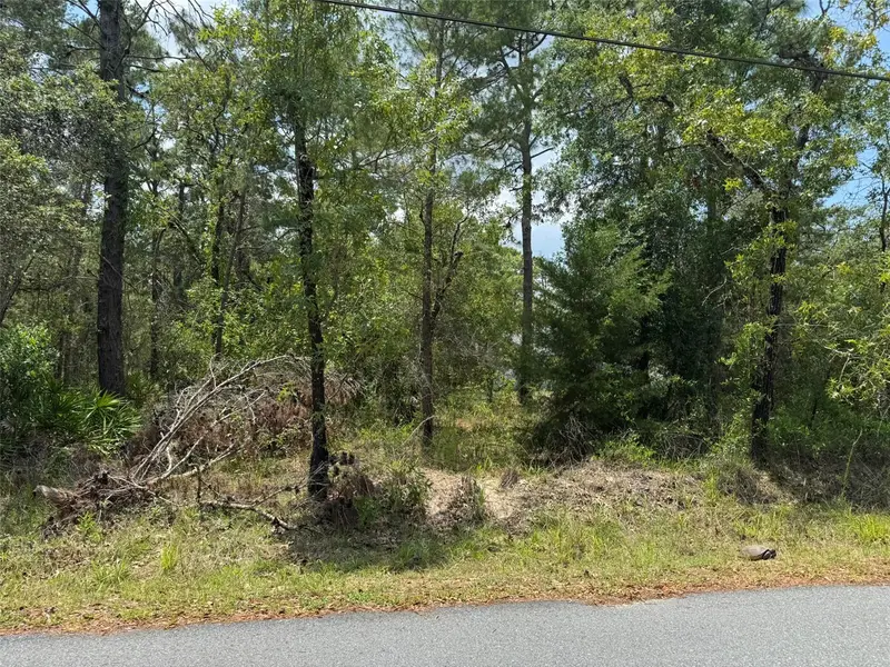 Lot 62 Michigan Ave, FL