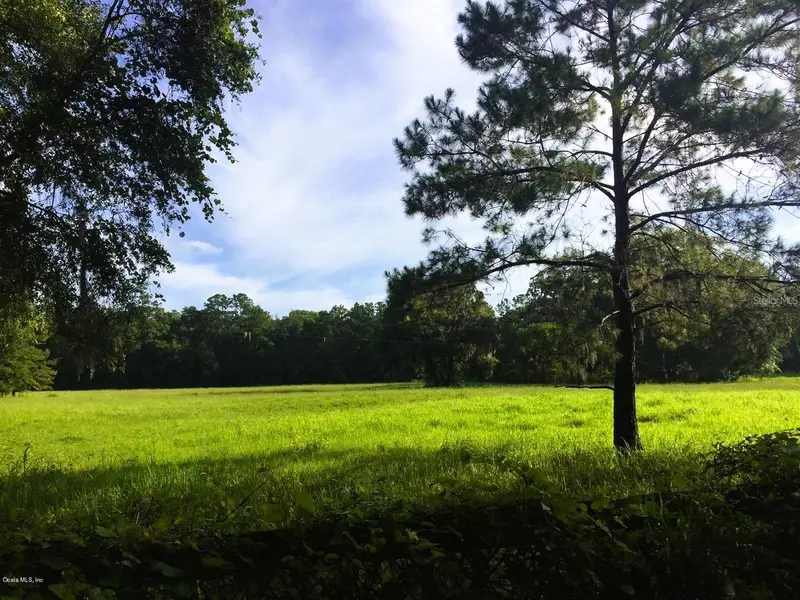 5201 W Highway 329, FL