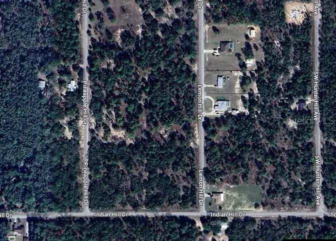 Sw Lemon Hill Dr, FL