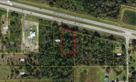 E Irlo Bronson Memorial Hwy, FL