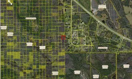 Holopaw Groves Rd, FL