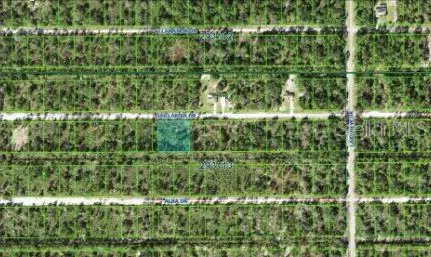 1023 Gallardia Dr, FL