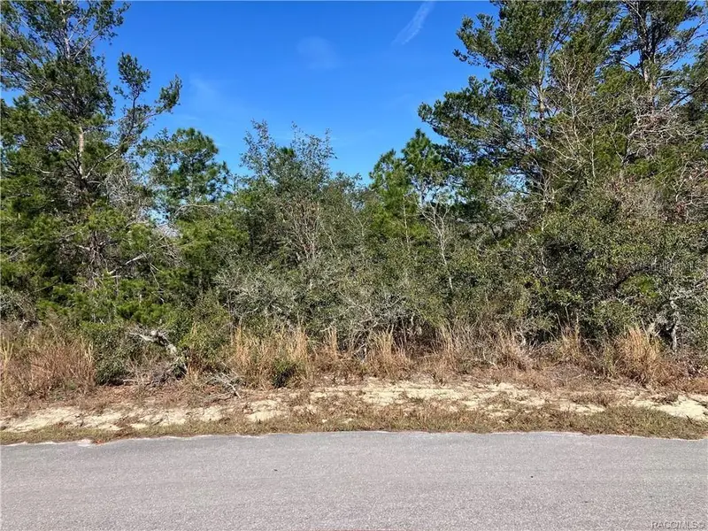 19 Rudbeckia Ct, FL