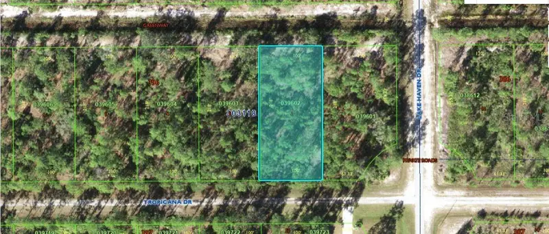 604 Tropicana Dr, FL