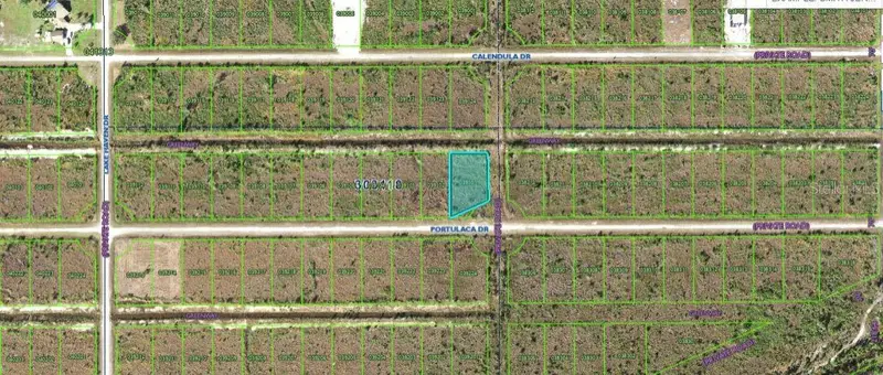502 Portulaca Dr, FL