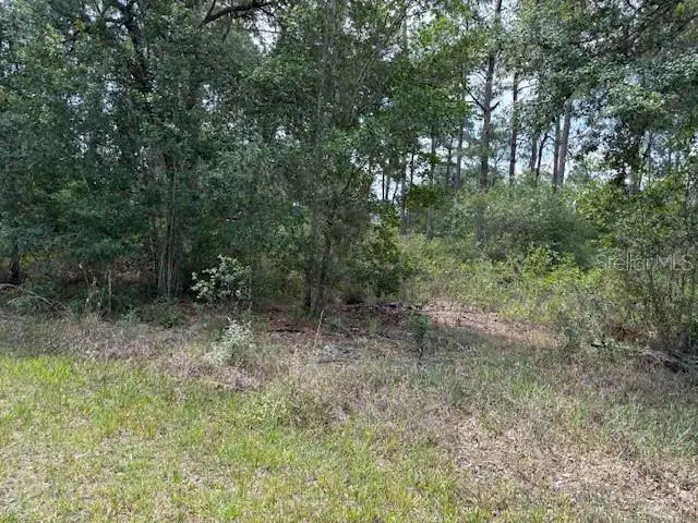 213 Plumosa Dr, FL
