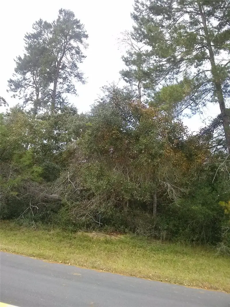 00 Marion Oaks Blvd, FL