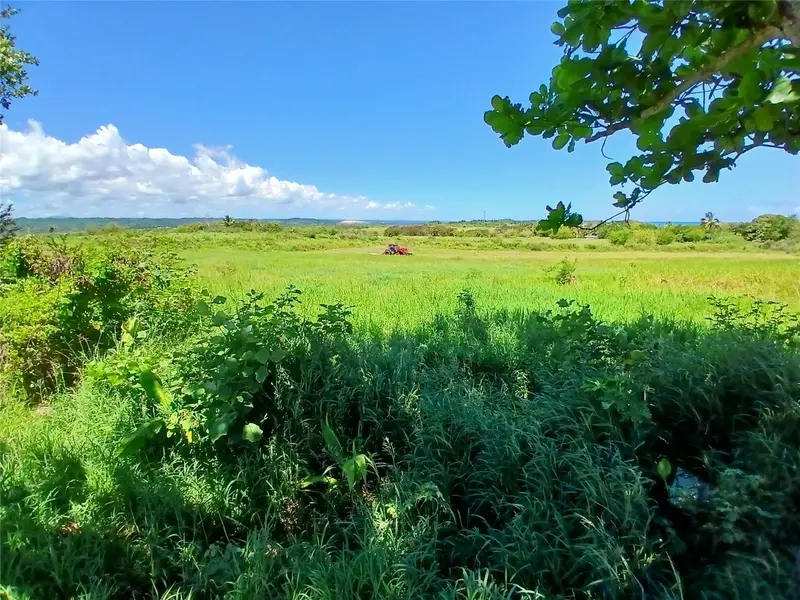 15.5 Carretera 681 Km.Hm 15.5, PR