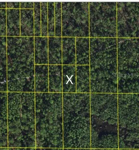 Sr-60, FL