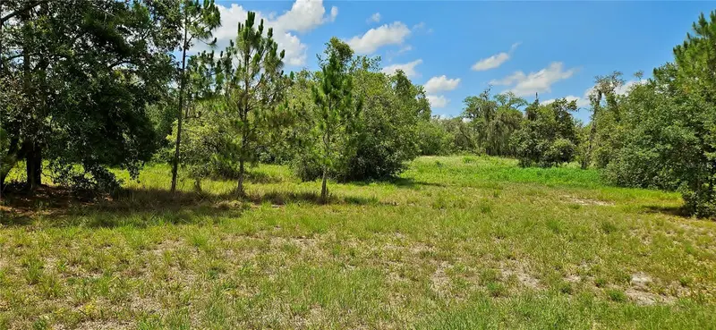 Mammoth Grove Rd, FL