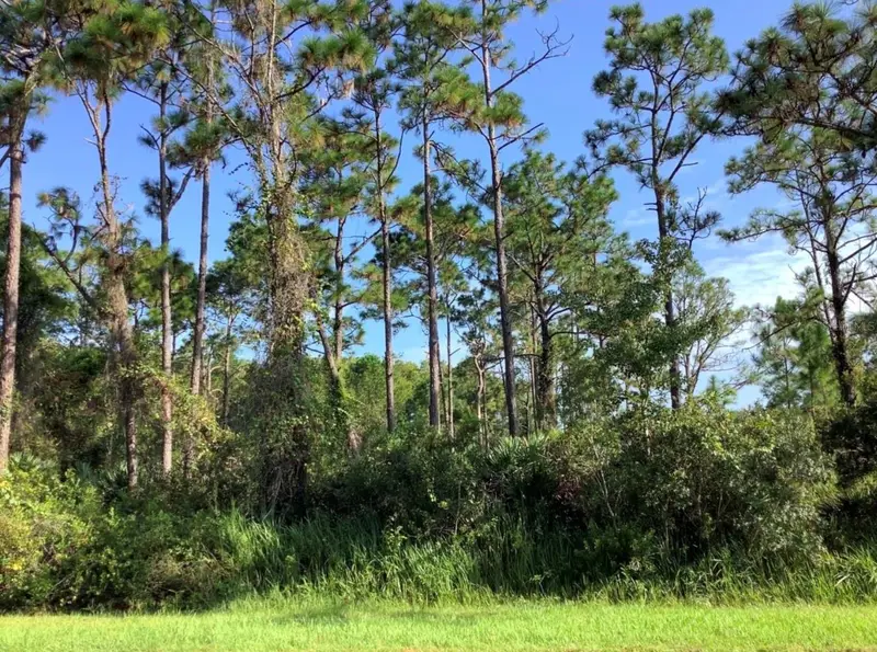 Quinella St, FL