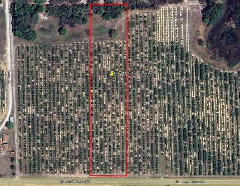 Mammoth Grove Road, FL