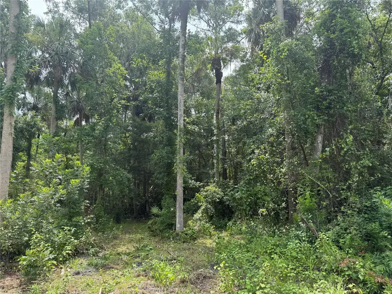Okaloosa Trl, FL