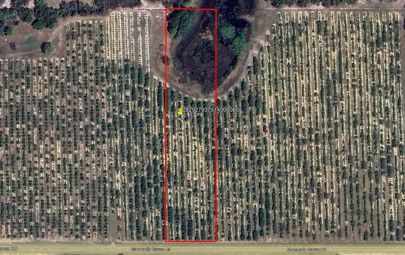 Mammoth Grove Road, FL