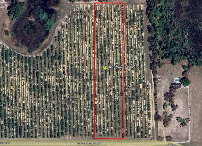 Mammoth Grove Road, FL