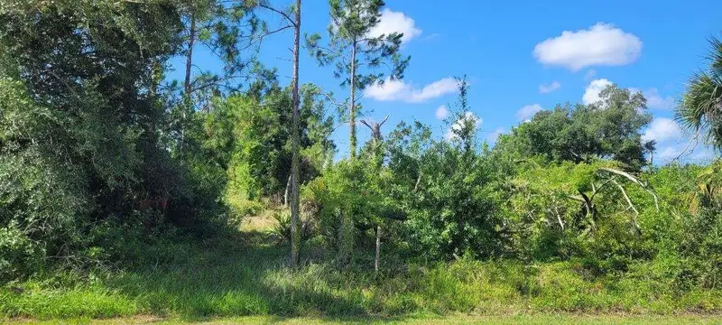 4451 S Access Rd, FL