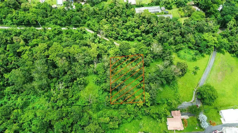 Calle Balbino Rosa #Solar D, PR