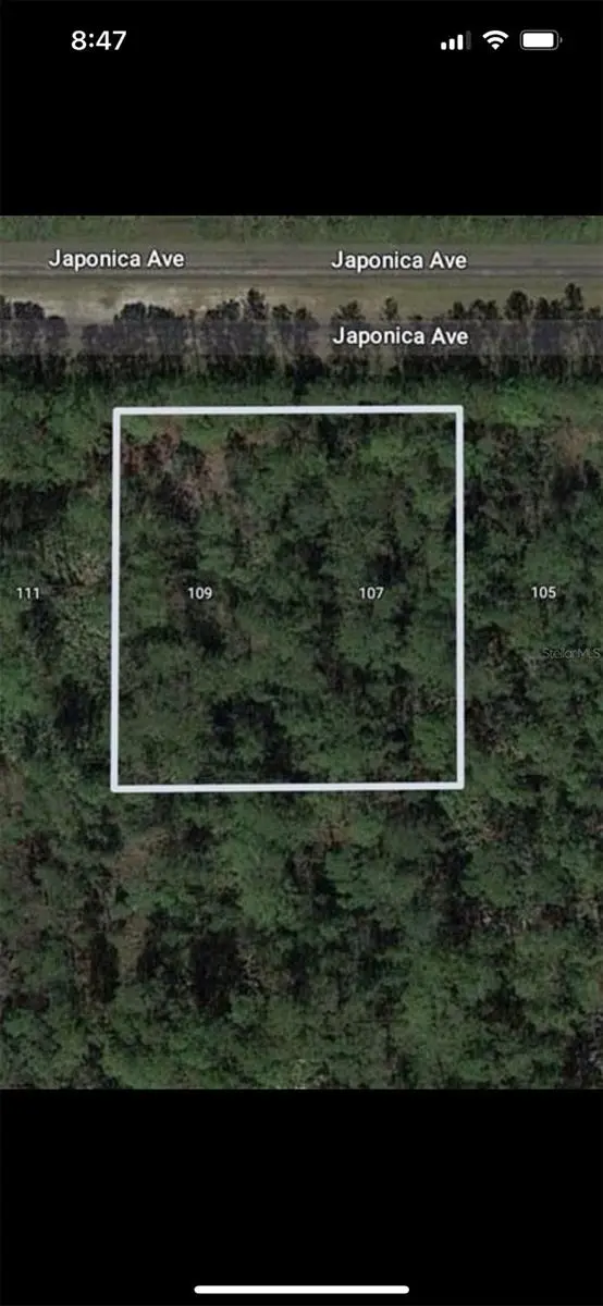 109 Japonica Avenue, FL