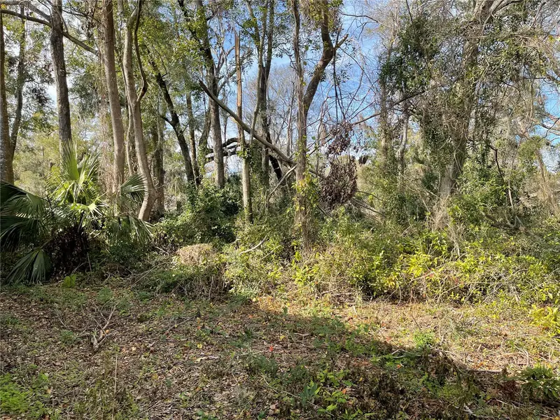 Lot 1 Nw 135th Ter, FL
