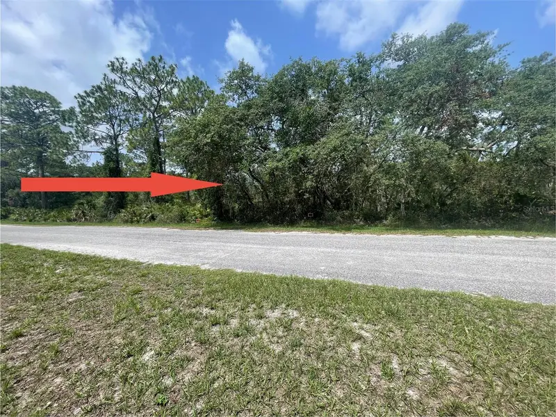 E Cashew Ct, FL