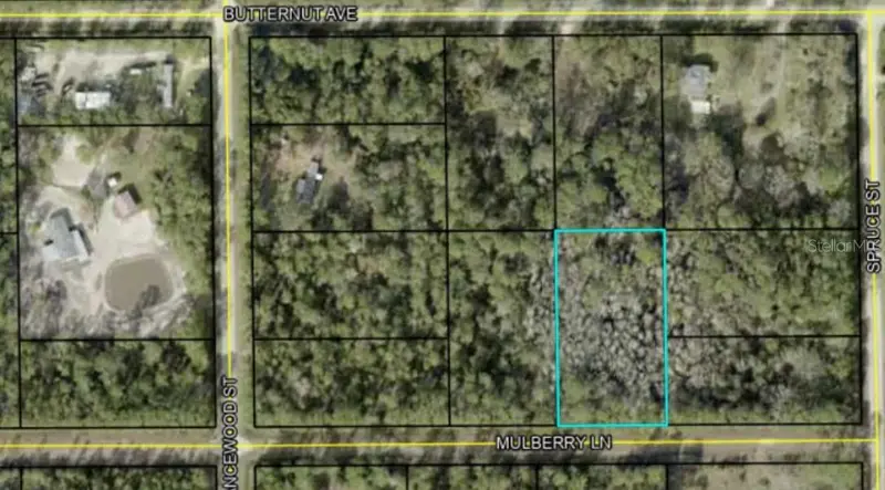 5414 Mulberry Ln, FL