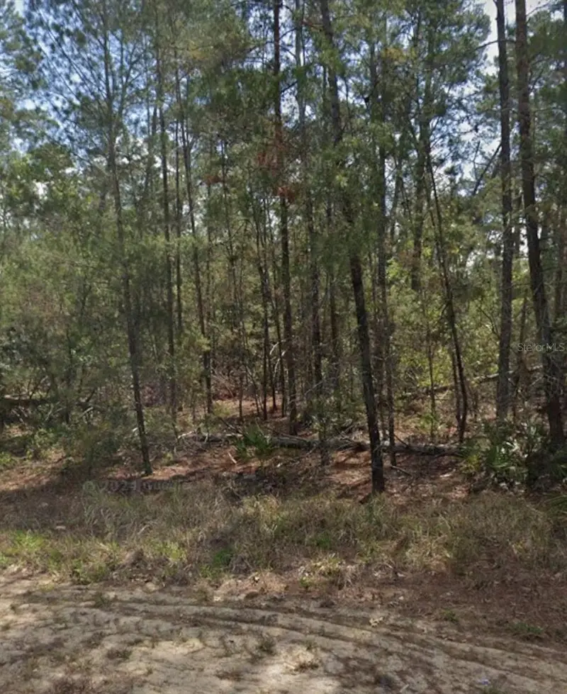 11 Scabiosa Ct, FL