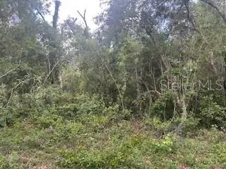 Karagan Ct, FL
