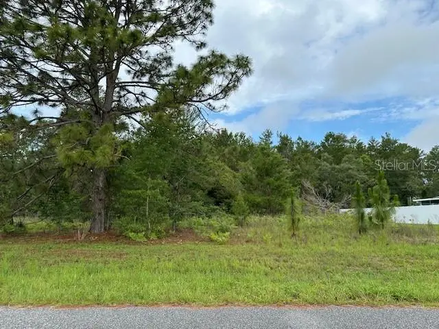 Lot 6 Sw 48 Court Road, FL