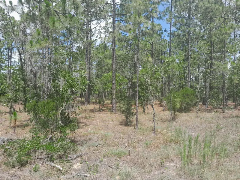 Tbd Ne 149th Ct, FL