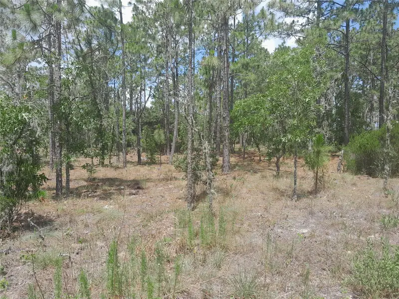 Tbd Ne 149th Ct, FL