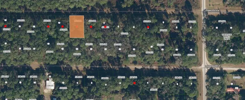 423 Dogwood Ave, FL