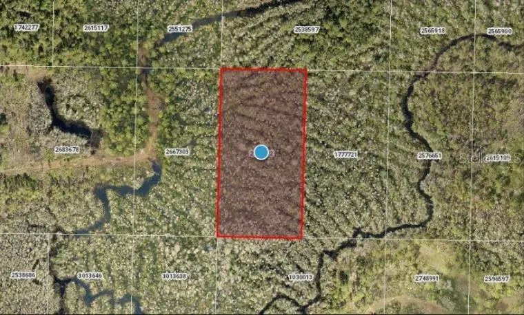 Calvin Lee Rd, FL