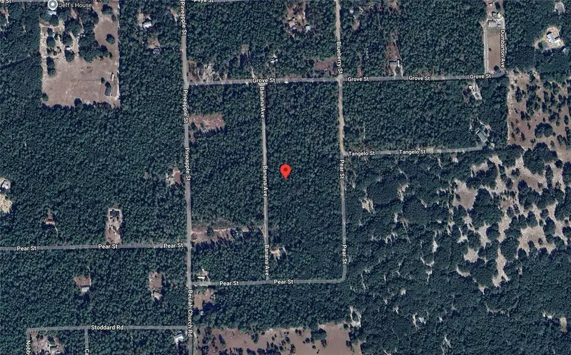 118 Banana Ave, FL
