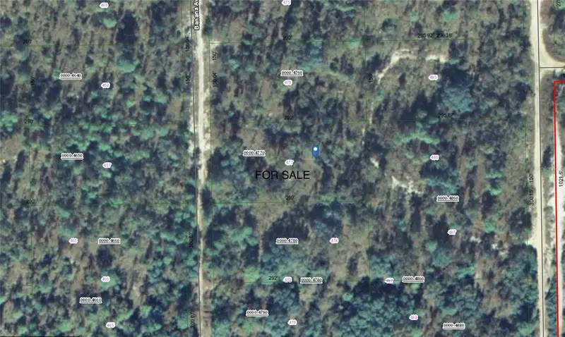 118 Banana Ave, FL