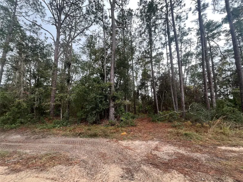 Susan St, FL