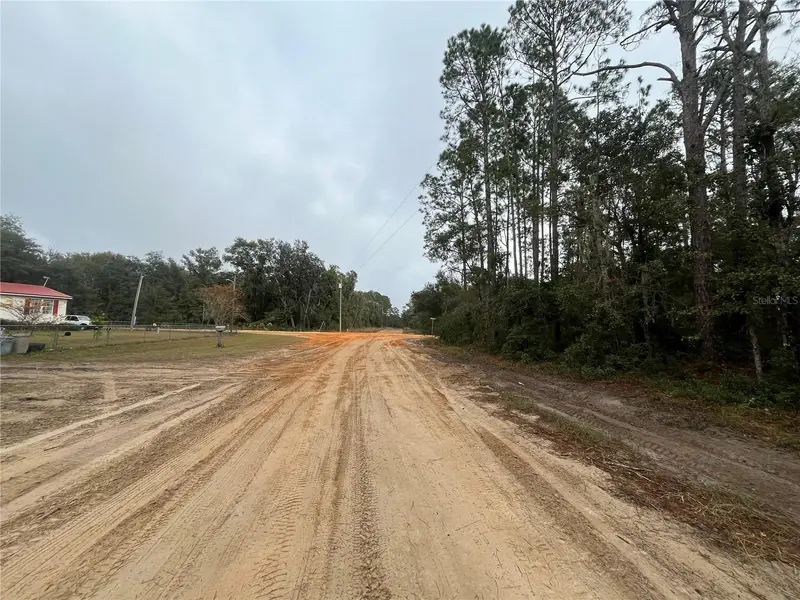 Susan St, FL