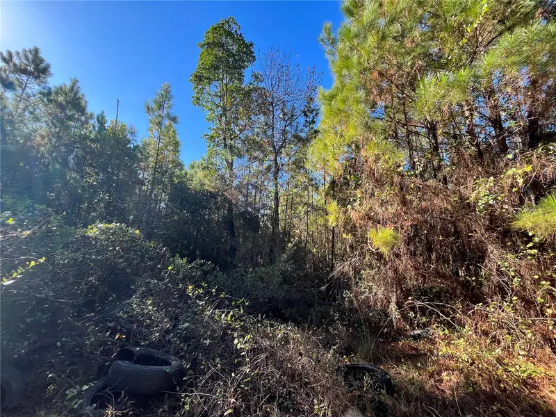 223 Mourning Dove Rd, FL