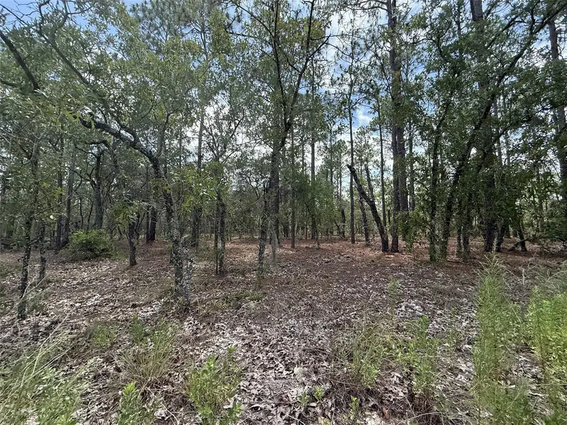 Nw Tree Top Rd, FL