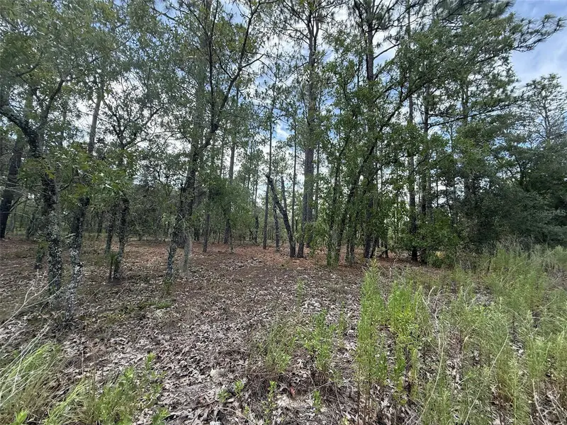 Nw Tree Top Rd, FL