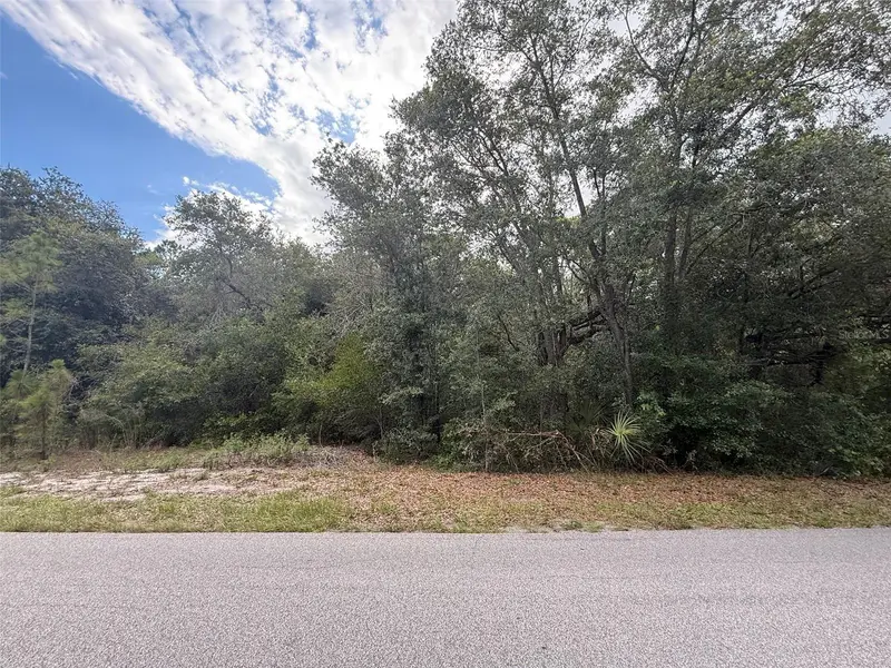 1012 Wildflower St, FL