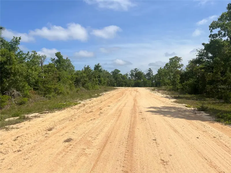 Rome Ave, FL