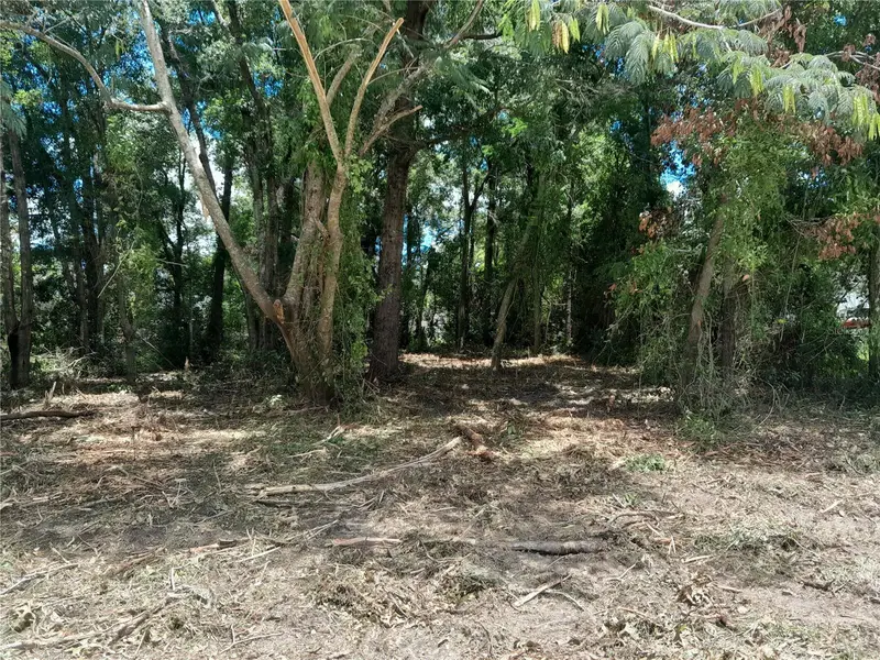 Tbd Ne 48th St, FL