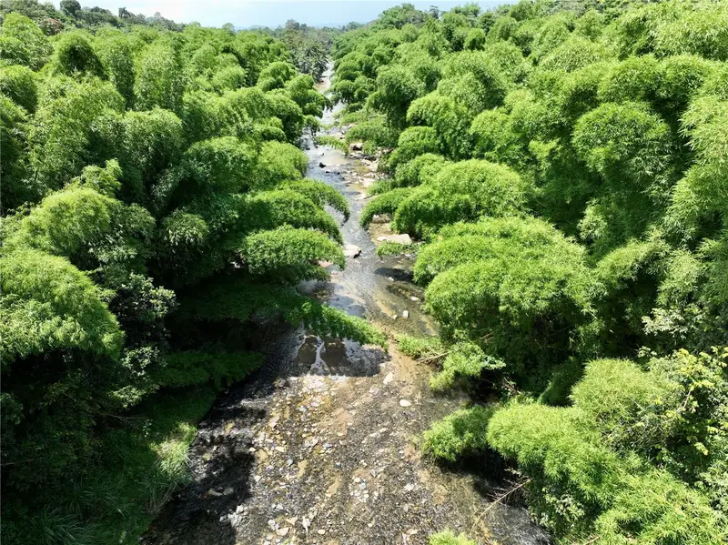 Carr 181 Km 10 Quebrada Honda, PR